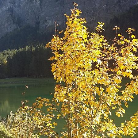 Logis Hotel Les Sapins Montriond Eksteriør bilde