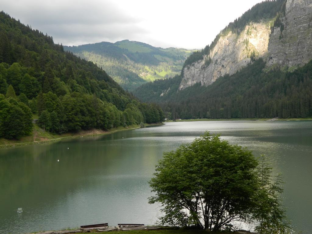 Logis Hotel Les Sapins Montriond Eksteriør bilde